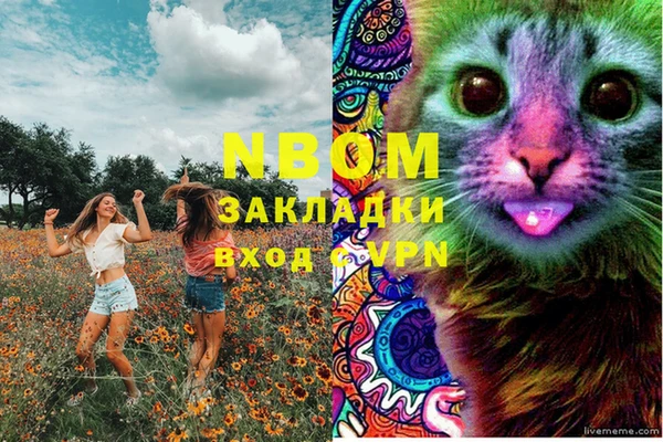 тгк Абаза