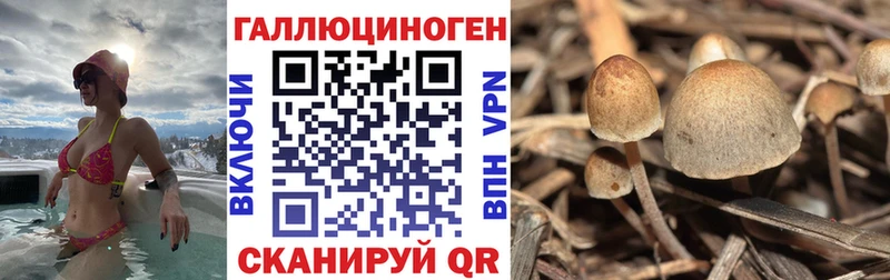 shop клад  Учалы  Псилоцибиновые грибы Magic Shrooms 