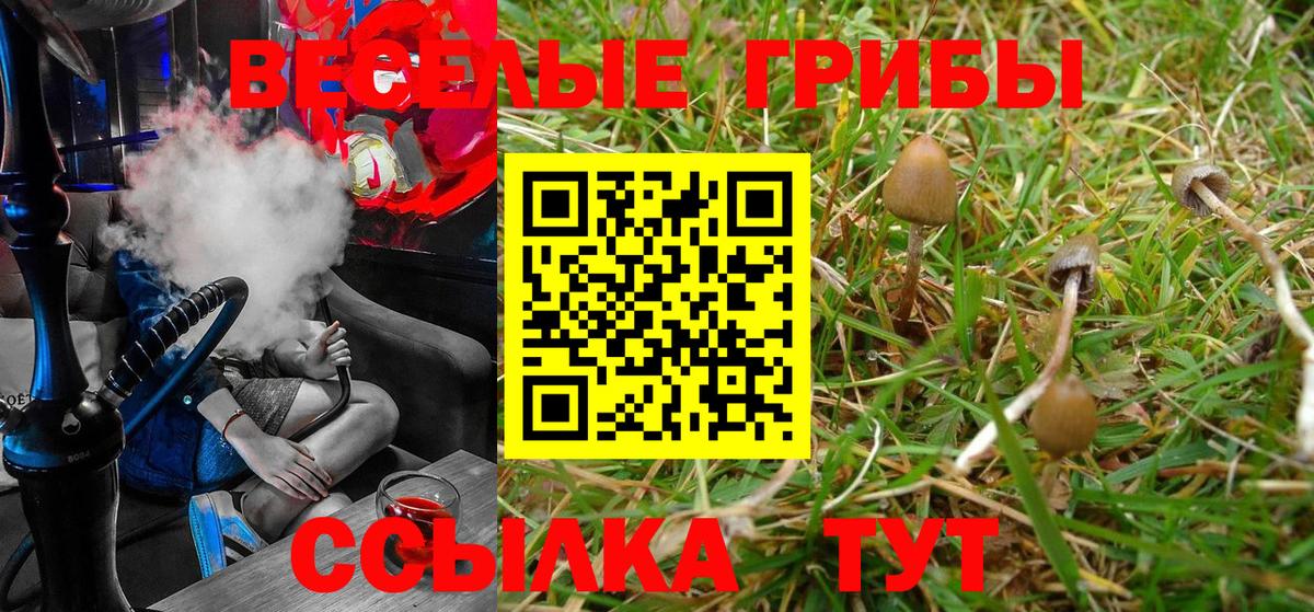 Псилоцибиновые грибы Psilocybe  Псилоцибиновые грибы Cubensis  Учалы  Вход с VPN 
